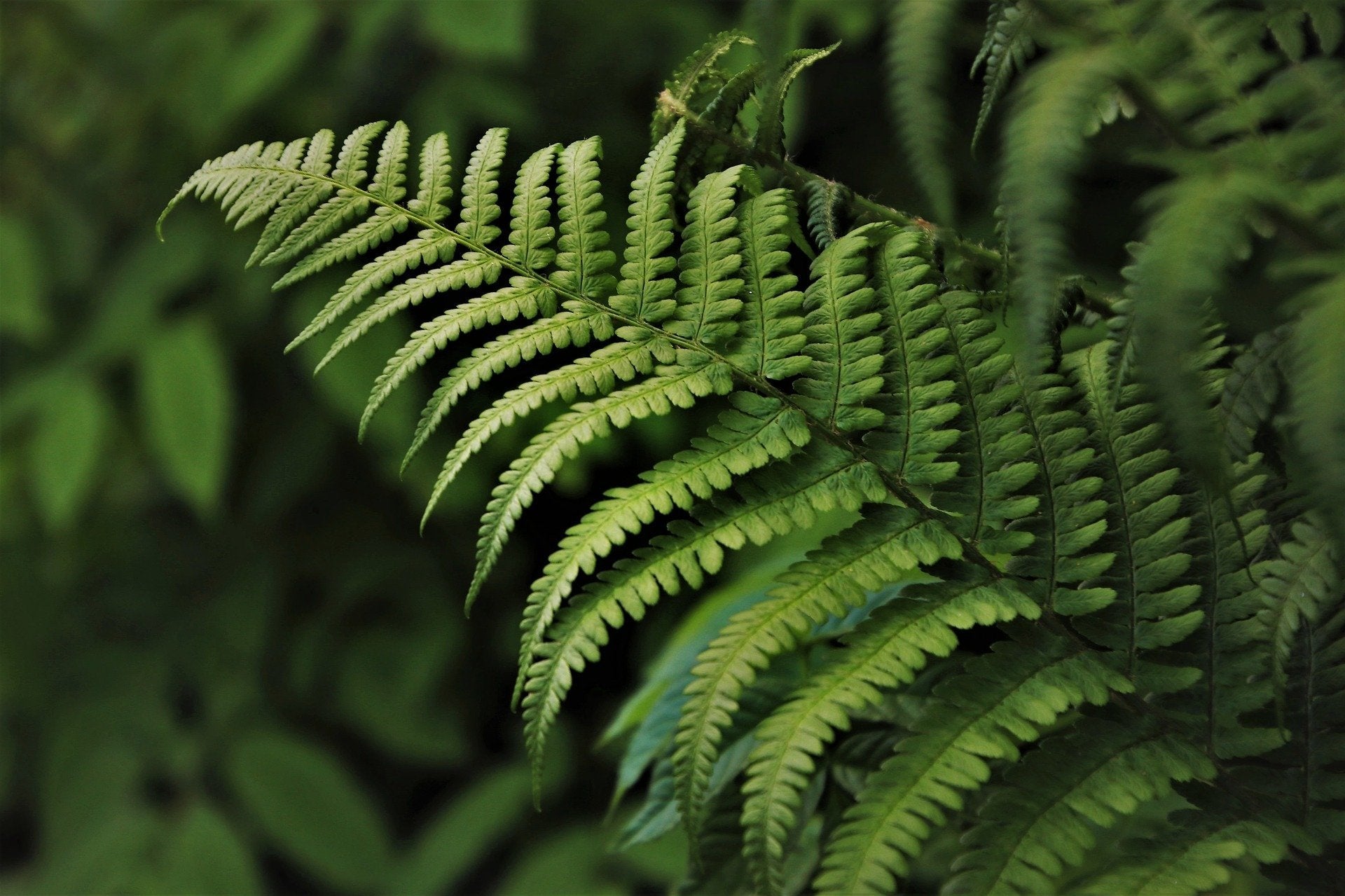 Mindful Choices for Modern Living - The Leafwhite Group