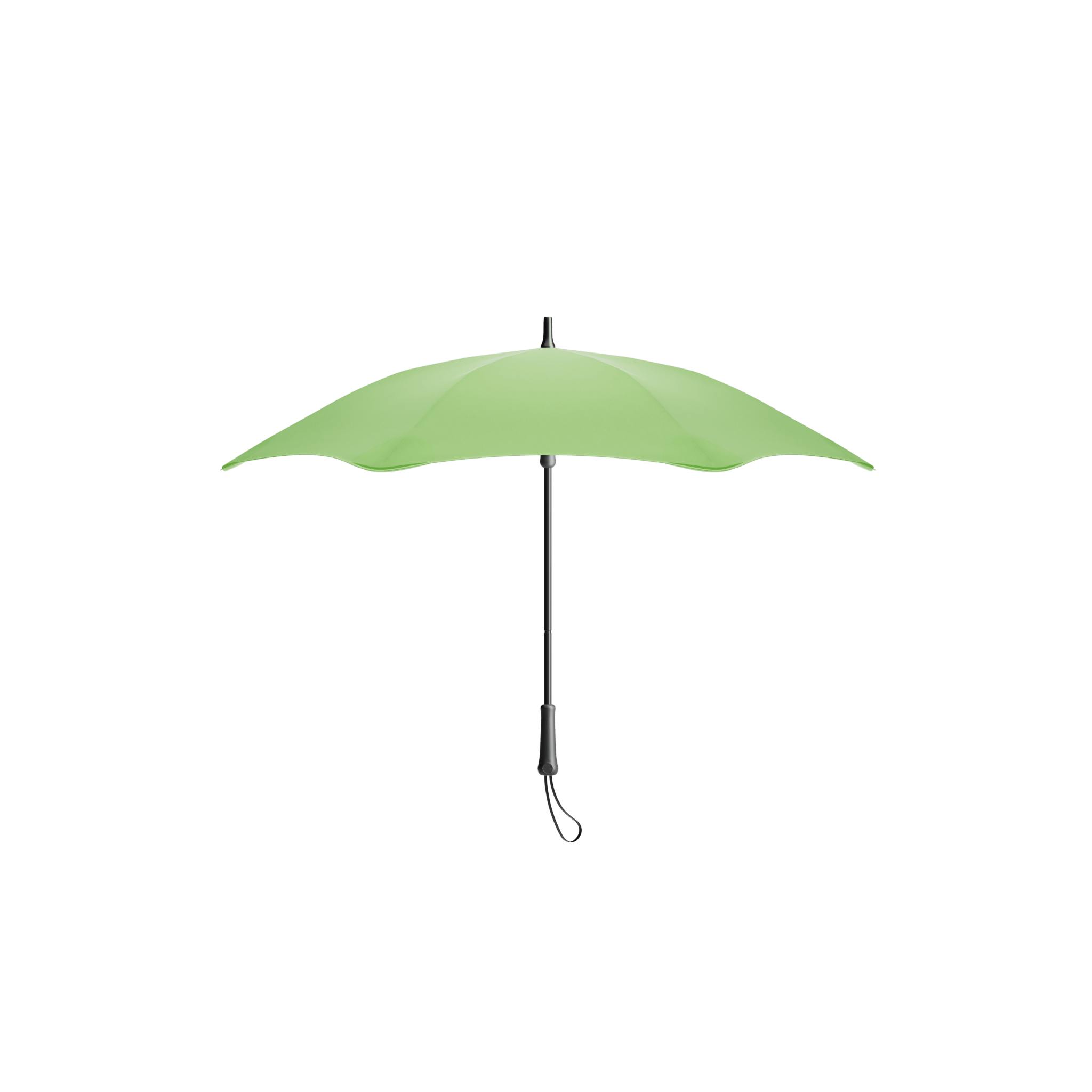 BLUNT Classic Meadow Green - The Leafwhite Group