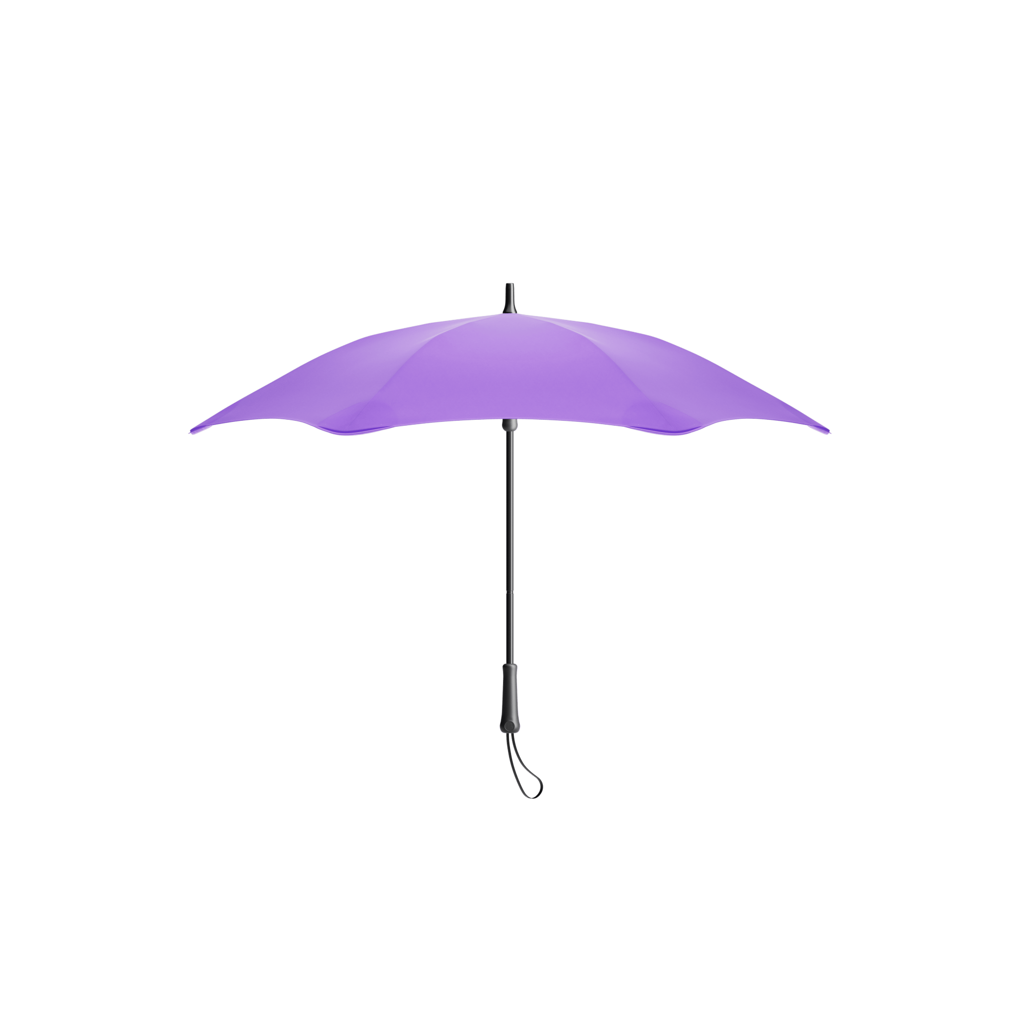 BLUNT Classic Violet Purple - The Leafwhite Group