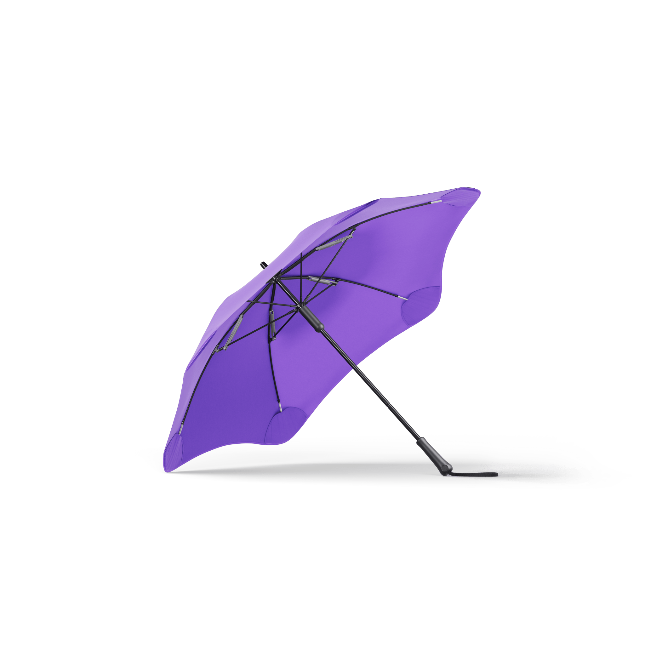 BLUNT Classic Violet Purple - The Leafwhite Group